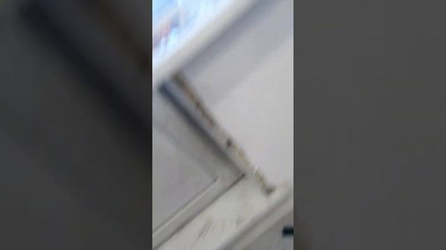 Укладка ламината 33 класс производитель Artens, подложка AXTON продаётся в Леруа. смотреть онлайн