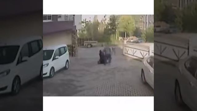 Укусила собака смотреть онлайн