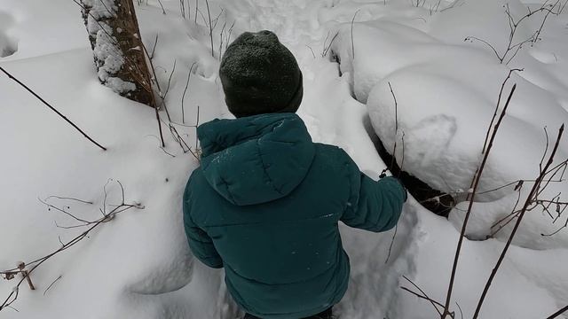 Прогулка на Красноярские Столбы | Экстремальный спуск с Огневки и совет как сберечь жопы смотреть онлайн