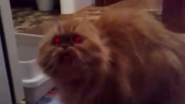 45ая секунда слышно как котэ говорит мойонез смотреть онлайн