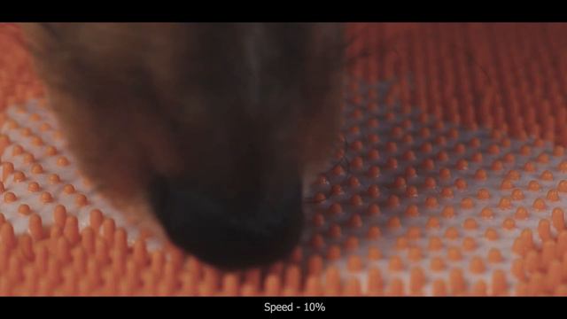 ASMR Puppy Dog Enjoys Frozen Goats Milk LickiMat Satisfying Relaxing Tingly Eating Sounds No talkin смотреть онлайн