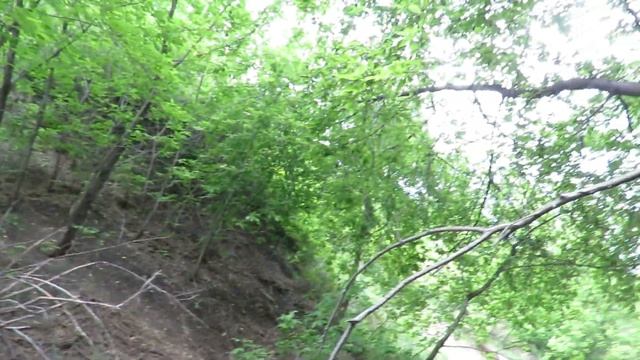 Труба откуда хлещет вонючая с запахом сероводорода вода. Кемерово