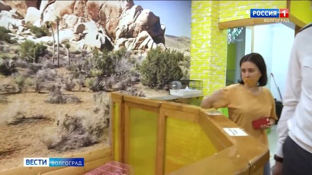 Ручные зоопарки Волгограда проходят процедуру лицензирования