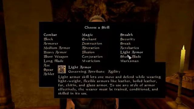 Morrowind Guia de Classes - Mago Puro смотреть онлайн