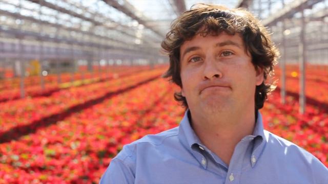Holiday Faces: Blanton Sheorn, Metrolina Greenhouses смотреть онлайн