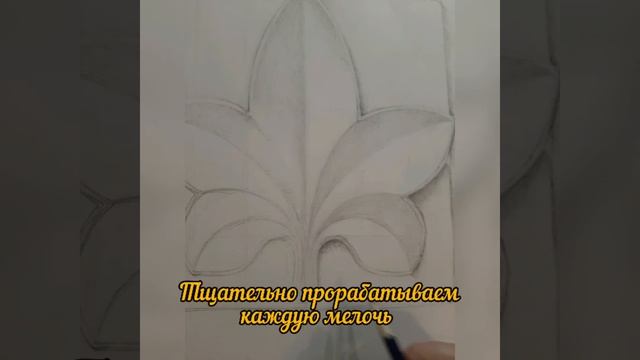 рисунок гипсовой розетки смотреть онлайн