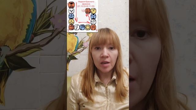 АстроПогода на 01.11.2023 смотреть онлайн