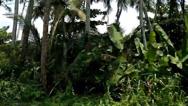 train Weligama Colombo, поїзд Велігама Коломбо 6 смотреть онлайн