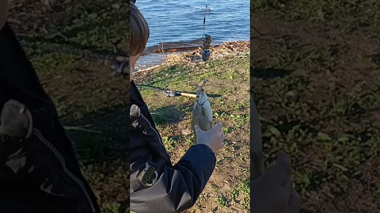 Первая рыбалка -первая рыба. смотреть онлайн