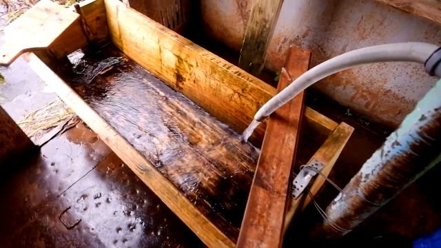 Родник в Иж-Забегалово смотреть онлайн