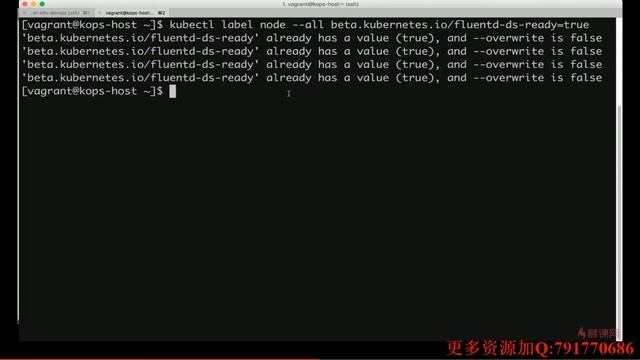 10 4 k8s集群Log的采集和展示——ELK+Fluentd смотреть онлайн