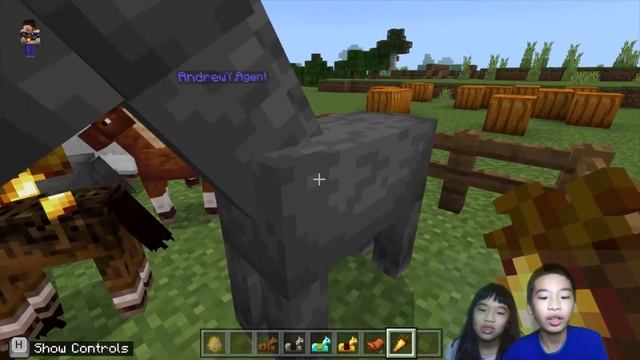 How to Code MINECRAFT: *HORSE FARM* in Minecraft: Education Edition with PYTHON смотреть онлайн