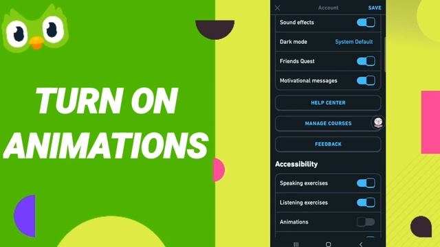How To Turn On Animations On Duolingo App