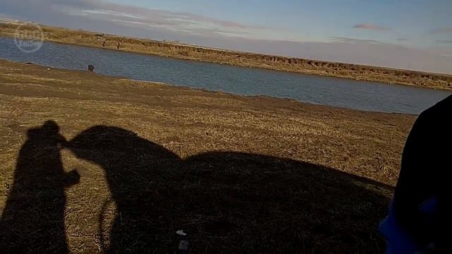 рыбалка в Казахстане Астана обзор № 48 нарезка видео рыбалка в Астане смотреть онлайн