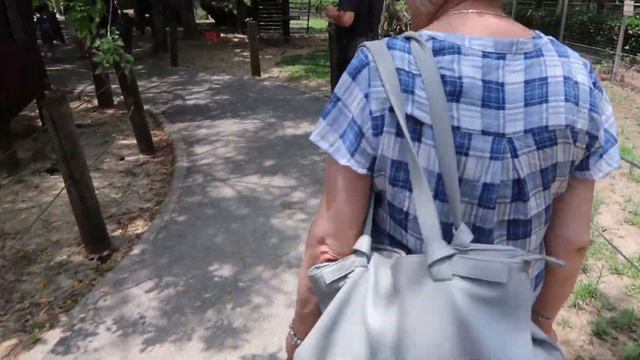 ISRAEL VLOG: Зоопарк города Кирьят Моцкин | Zoo of Kiryat Motzkin | #VLOG смотреть онлайн