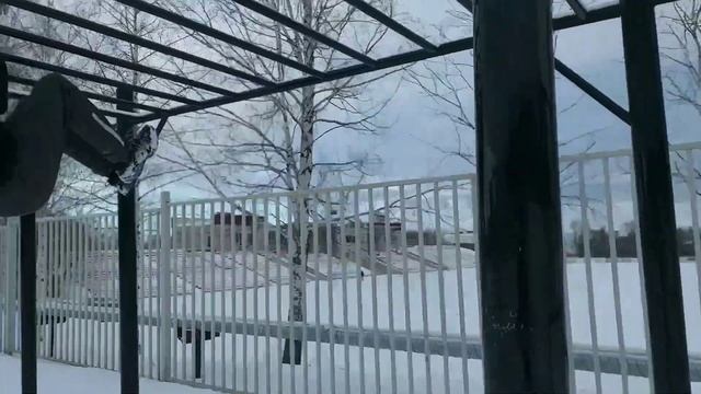 Одно из лучших и безопасных упражнений на турнике? смотреть онлайн