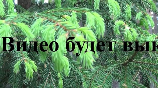 Сообщение для моих подписчиков и друзей смотреть онлайн