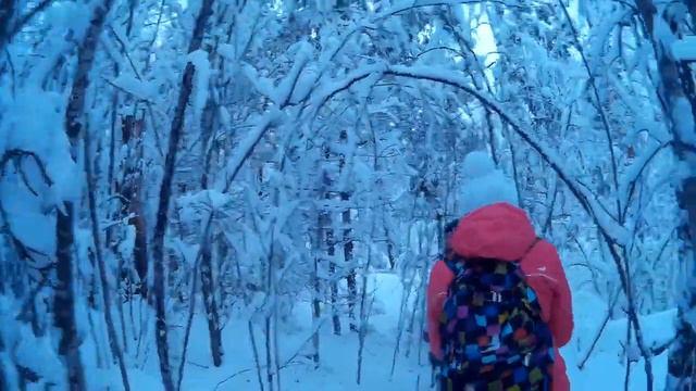 Красный сокол (Соккальская крепостная горка) поиск выхода смотреть онлайн