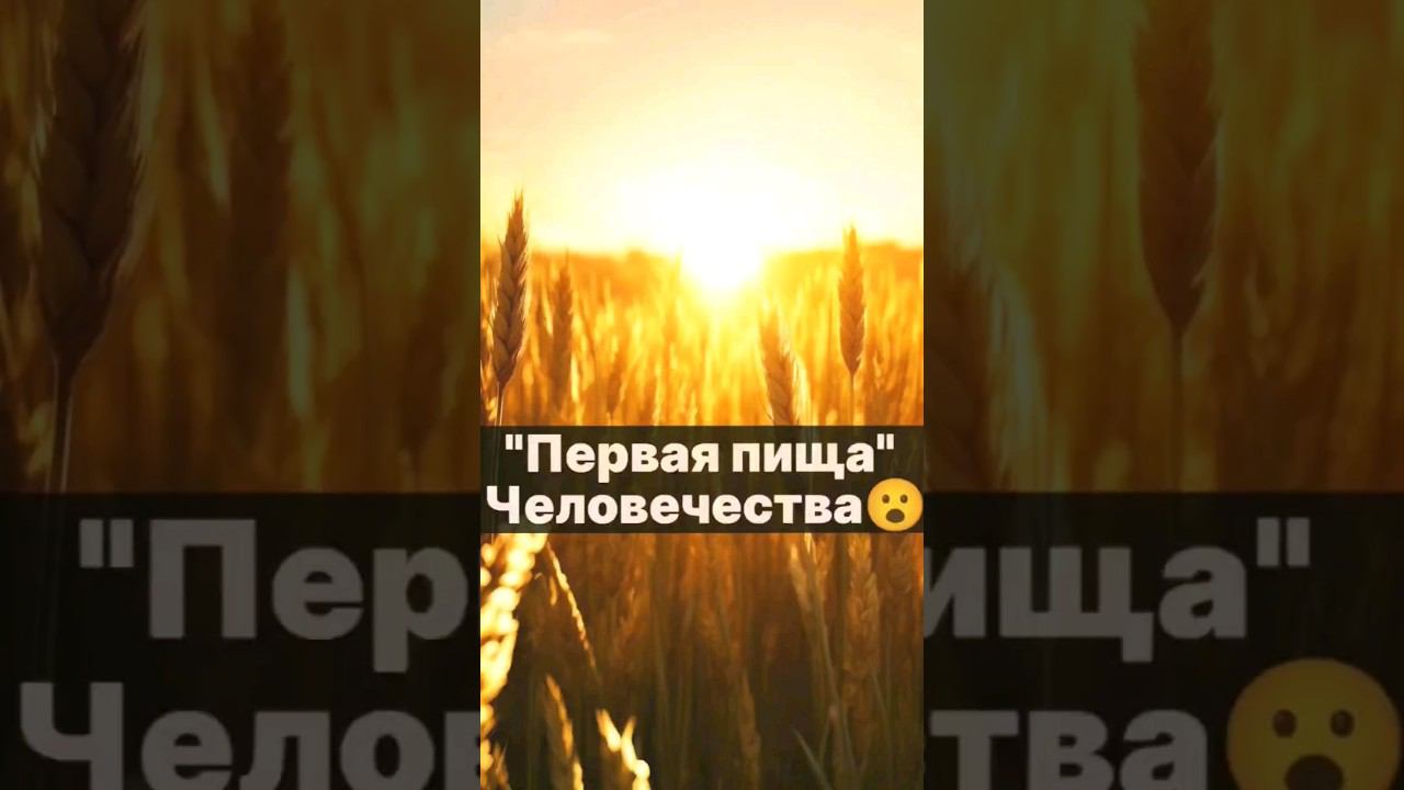 Хлеб (Ложь историков)