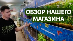 Полный ОБЗОР зоомагазина Ква-ква