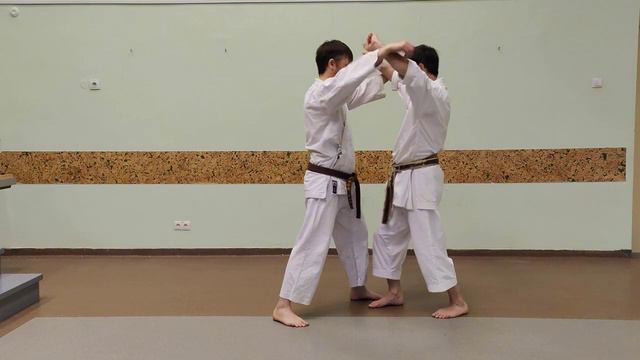 Bassai Dai kata effective bunkai 2 (full kata) смотреть онлайн