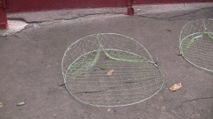 Ловушки для Ястреба, Сокола и ловушка для Фазанов, Куропаток ОБЗОР