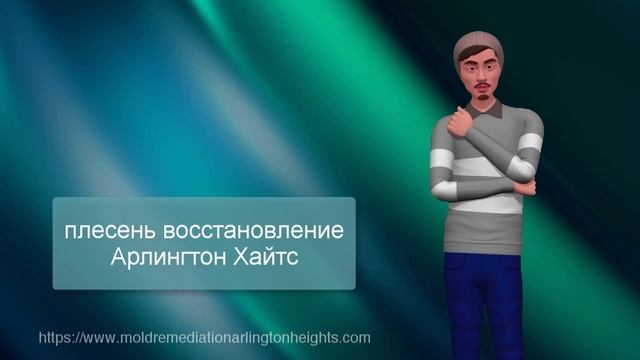 плесень восстановление Арлингтон Хайтс смотреть онлайн