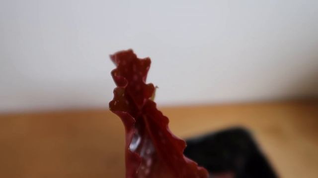 FREAKIN' BEGONIA HAUL BABY смотреть онлайн