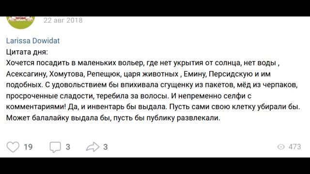 Ложь вокруг дела Ольги Соломиной: им ещё не дали приказа остановиться смотреть онлайн