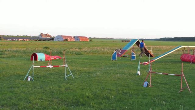 23.05.2015 г. Аджи на тренировке. смотреть онлайн