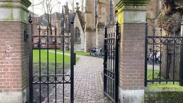 13.12.2020 Хертогенбос.Нидерланды/’s-Hertogenbosch.Nederland # 222