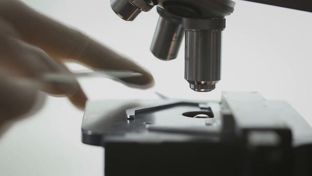 Гигантское существо из прошлого, которое обнаружили на севере. Самые необычные находки смотреть онлайн