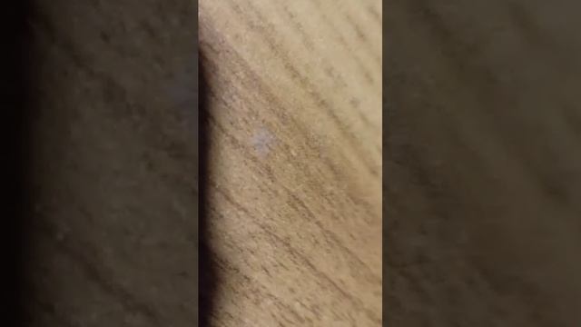 гача смотреть онлайн
