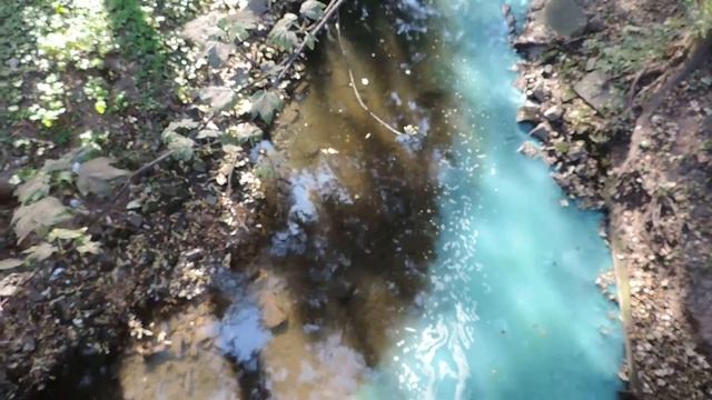 Калининград Как отравляют Парковый ручей смотреть онлайн