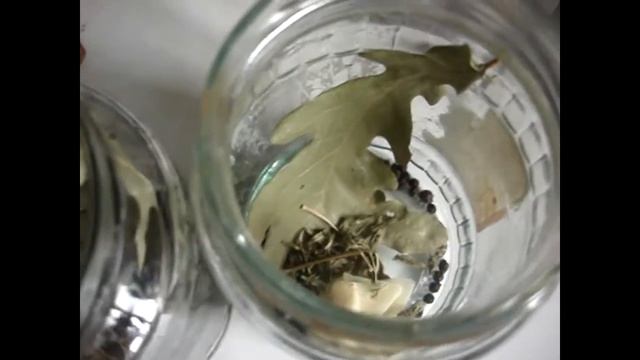 Засолка красных помидор смотреть онлайн