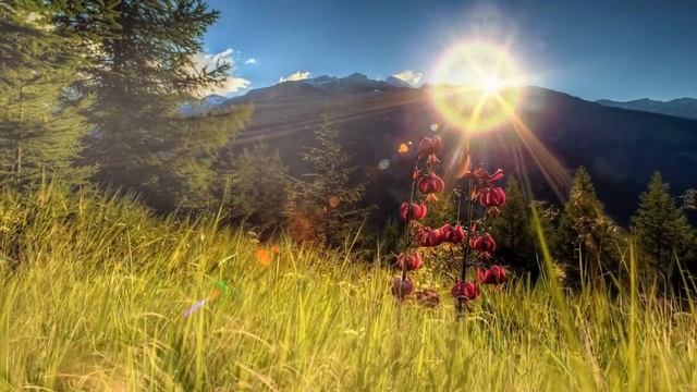 ВКЛЮЧИ И ПРОИЗОЙДЕТ ЧУДО!Просто послушай! смотреть онлайн