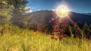 ВКЛЮЧИ И ПРОИЗОЙДЕТ ЧУДО!Просто послушай!