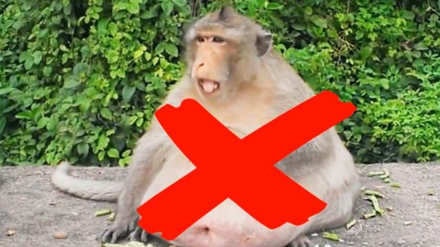 САМЫЕ  ПОЛЕЗНЫЕ  ОРЕХИ И СЕМЕНА