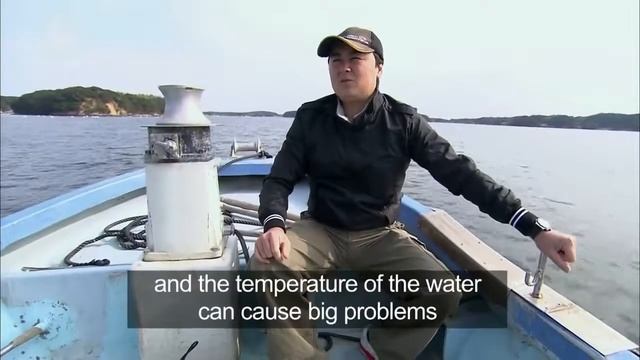 Выращивание жемчуга - Из чего это сделано смотреть онлайн