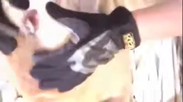 BEST Cyst Popping Compilation 2015 #2 New Zits, Pimples Extraction YouTube