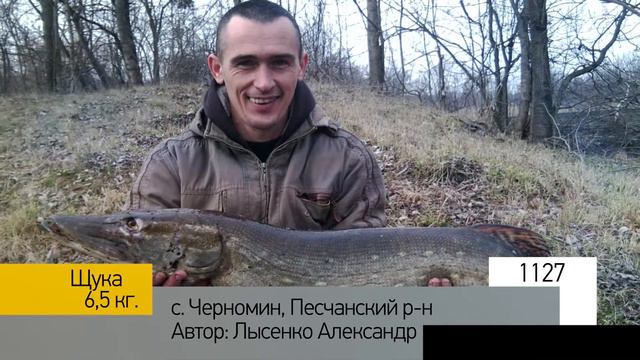 Фотоальбом - Рыбалка №225 смотреть онлайн