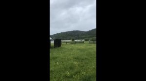 Участок с домом на берегу Павловского водохранилища с причалом
