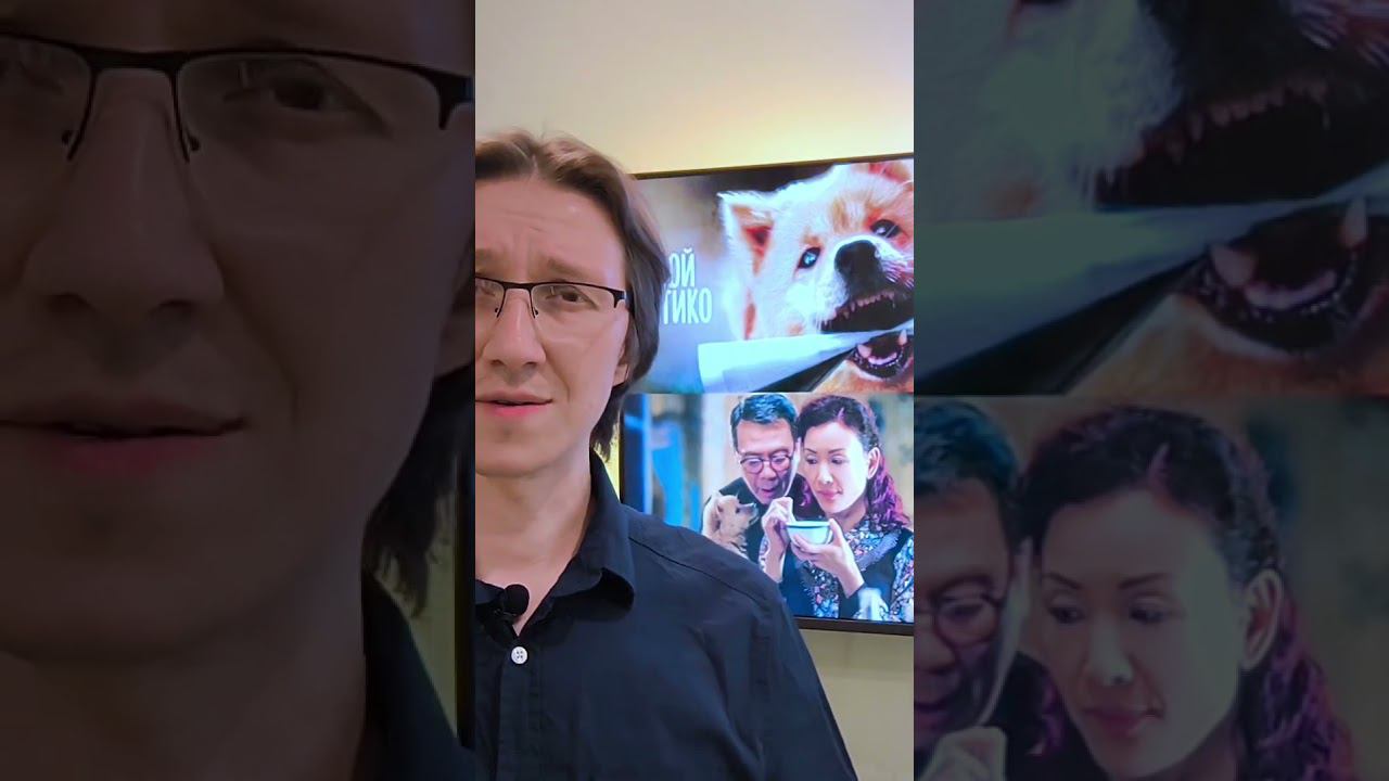 Почему животное оказалось на улице, если его любили? Фильм МОЙ ХАТИКО (2023) Самопознание через кино смотреть онлайн