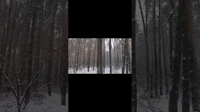 Пришла зима 2, г. Воронеж, 20.11.2023 года смотреть онлайн