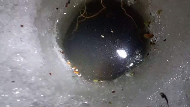 Рыбалка на Косынки НОЧЬЮ. Последний лёд. Весна 2023. смотреть онлайн