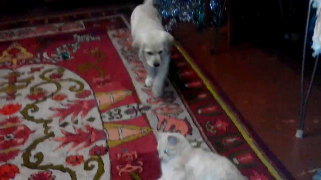 Эмми смотреть онлайн