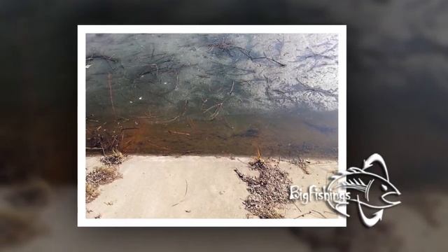 Платная рыбалка Вилар смотреть онлайн