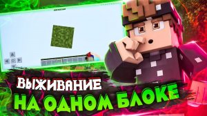 ВЫЖИВАНИЕ НА ОДНОМ БЛОКЕ МАЙНКРАФТ. СЕКРЕТНАЯ КОМНАТА от МОБОВ в MINECRAFT