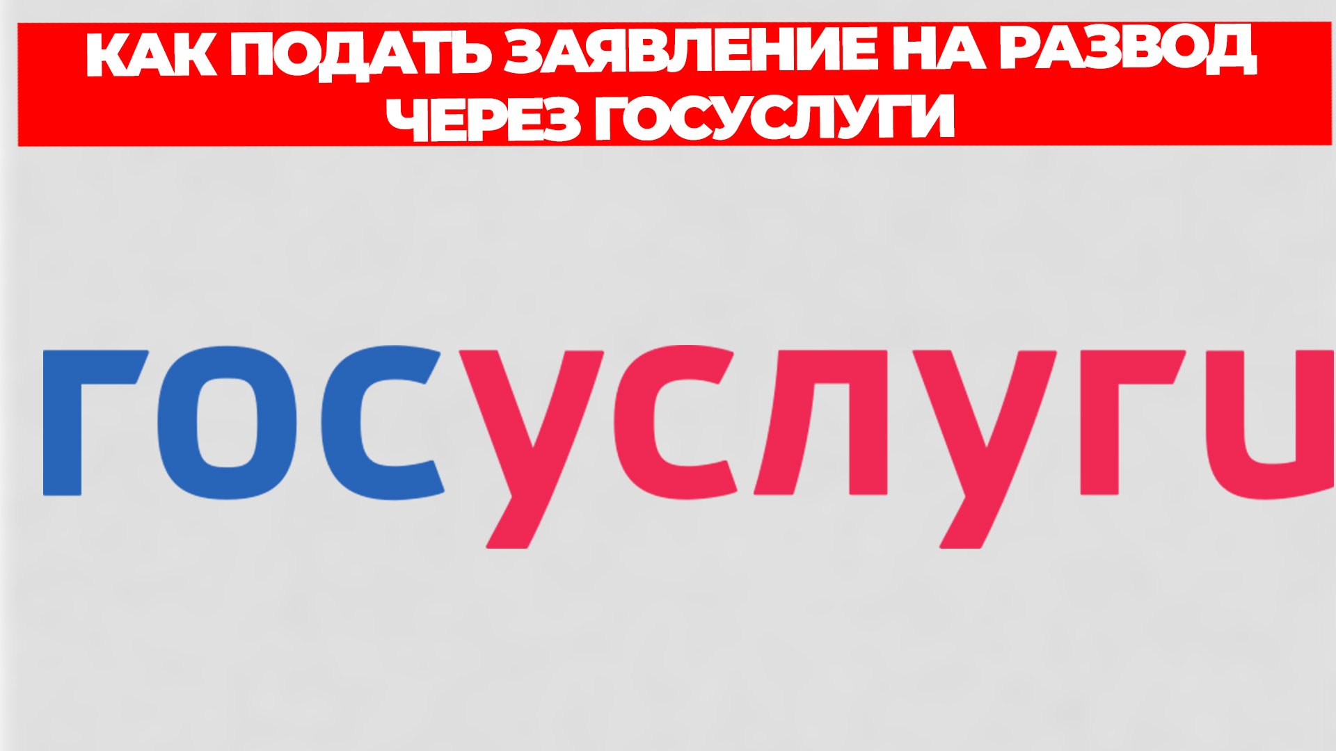 Всезнающий Енот