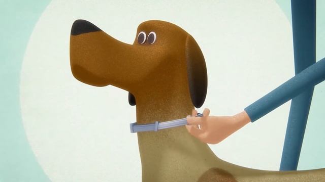 Ошейник Форесто (Bayer) для собак. Анимационный ролик